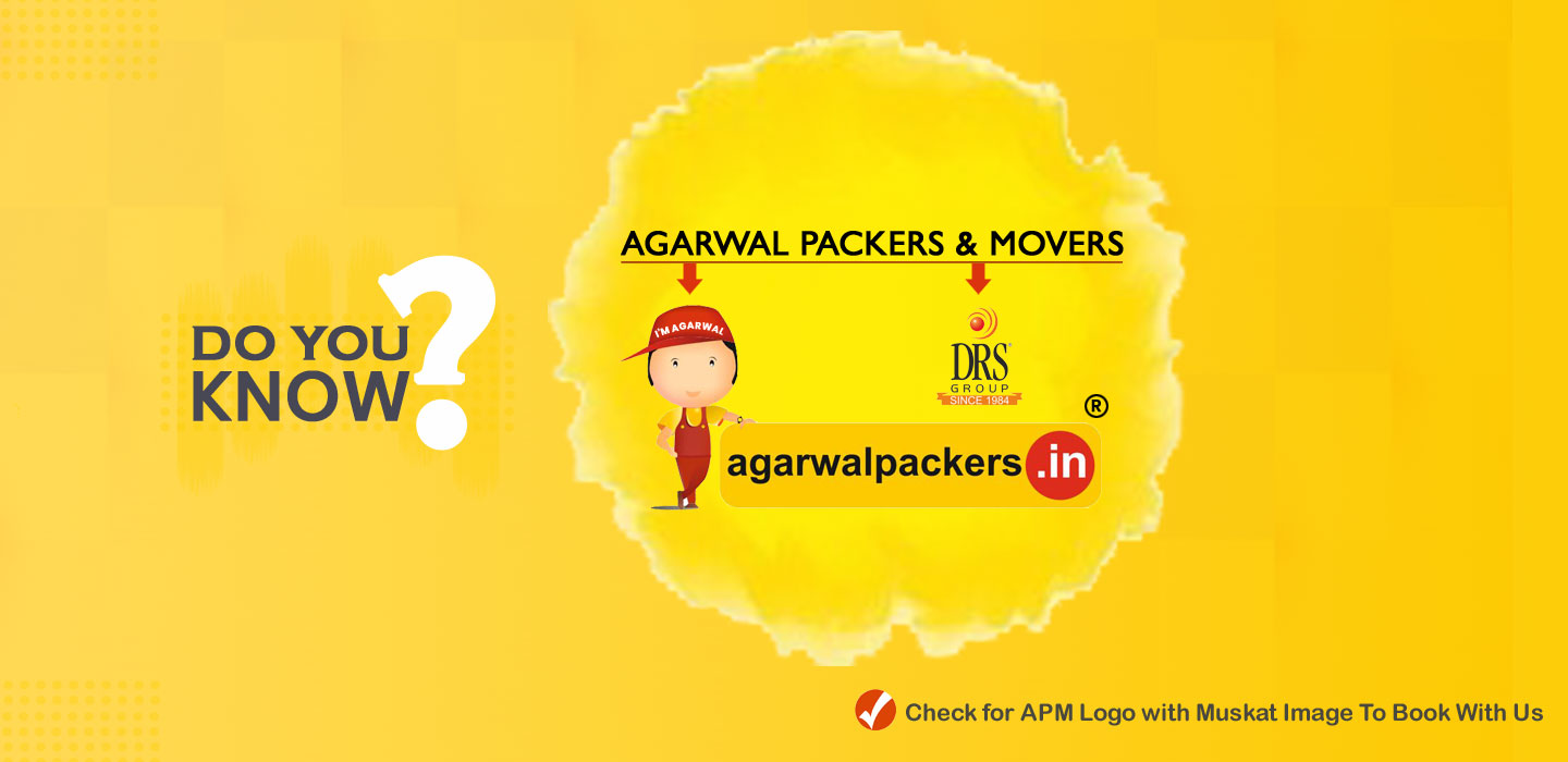 How to identify Star Relocation Services Raipur