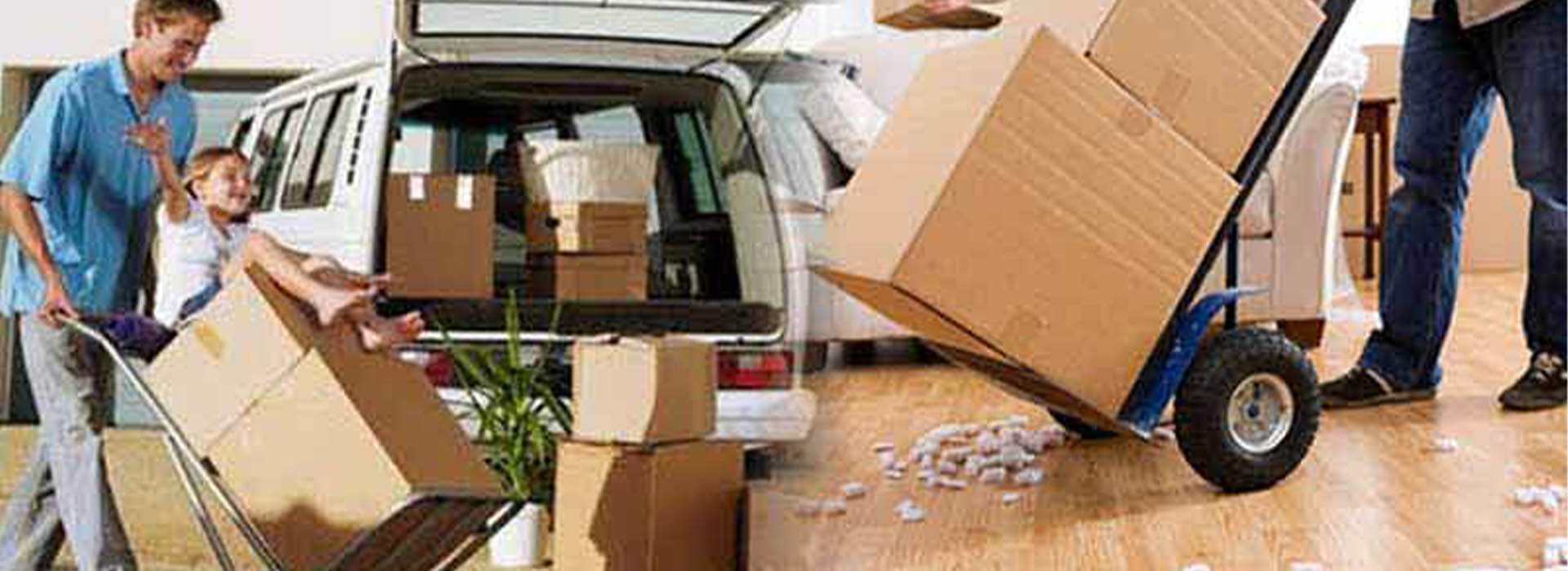 Star Relocation Services